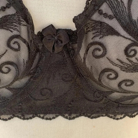 Frederick’s Of Hollywood Black Sheer Embroidered Push Up Underwire Plus Size Bra - Picture 2 of 11